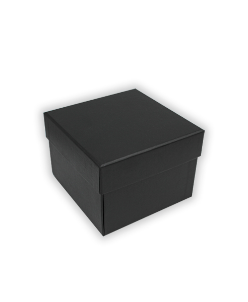 Футляр черный 2к66