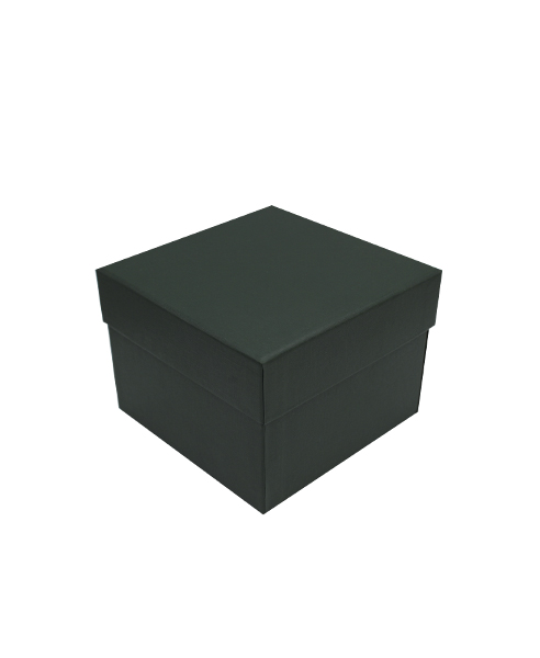 Футляр зеленый 2к66